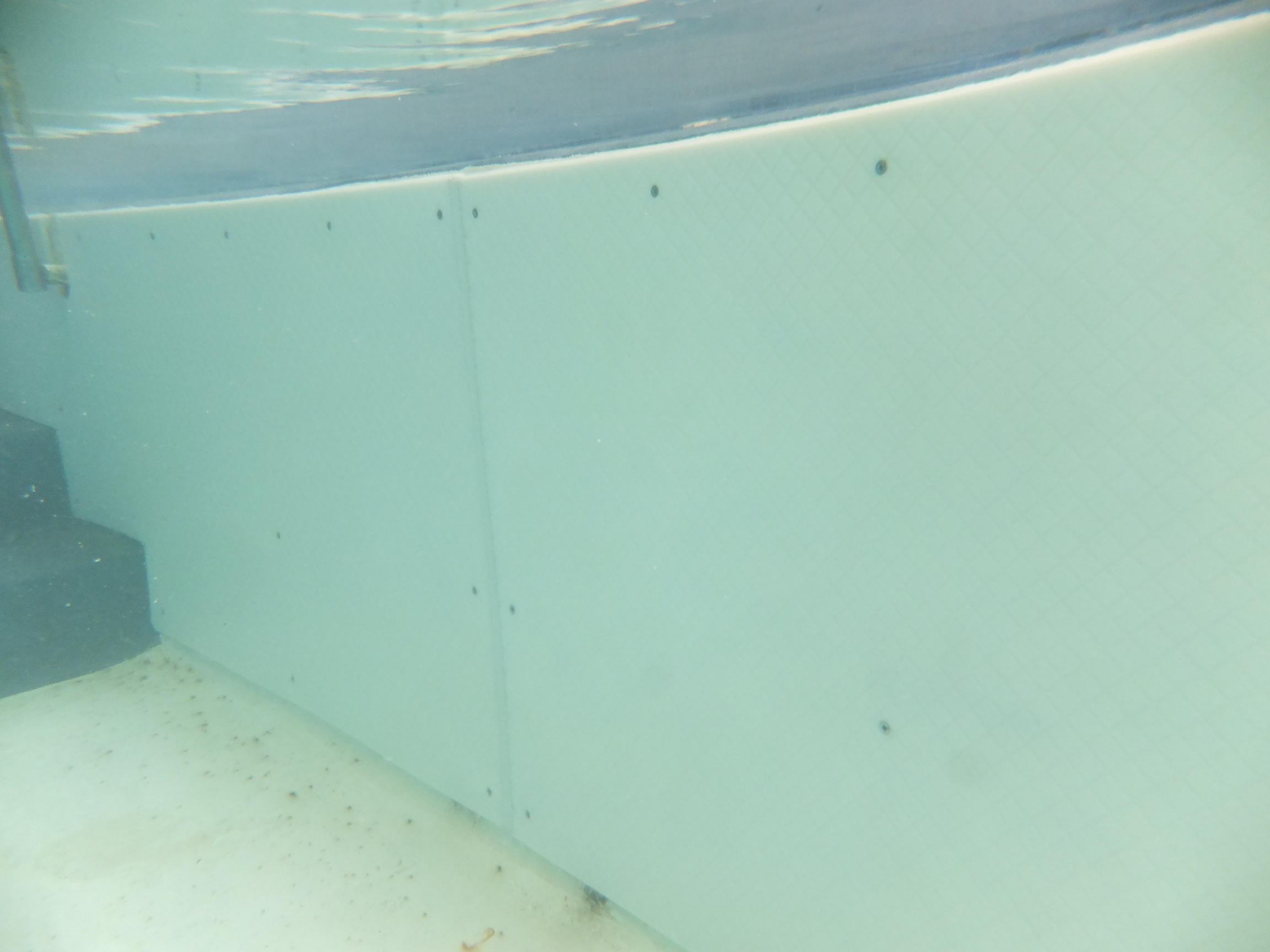 HDPE panel protect the pool wall