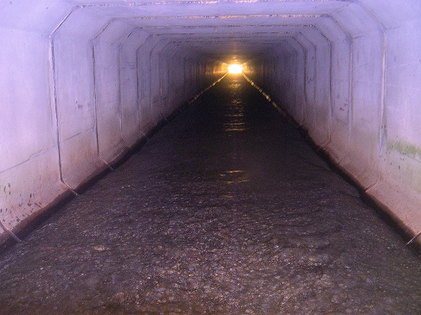 Tunnel 600